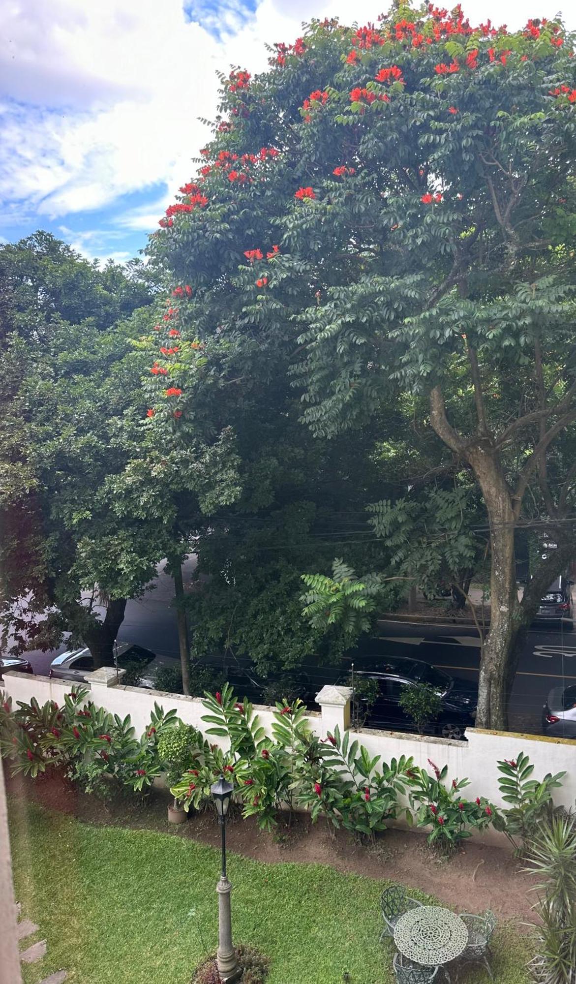Monblanc Apartamento Completo ซานซัลวาดอร์ ภายนอก รูปภาพ