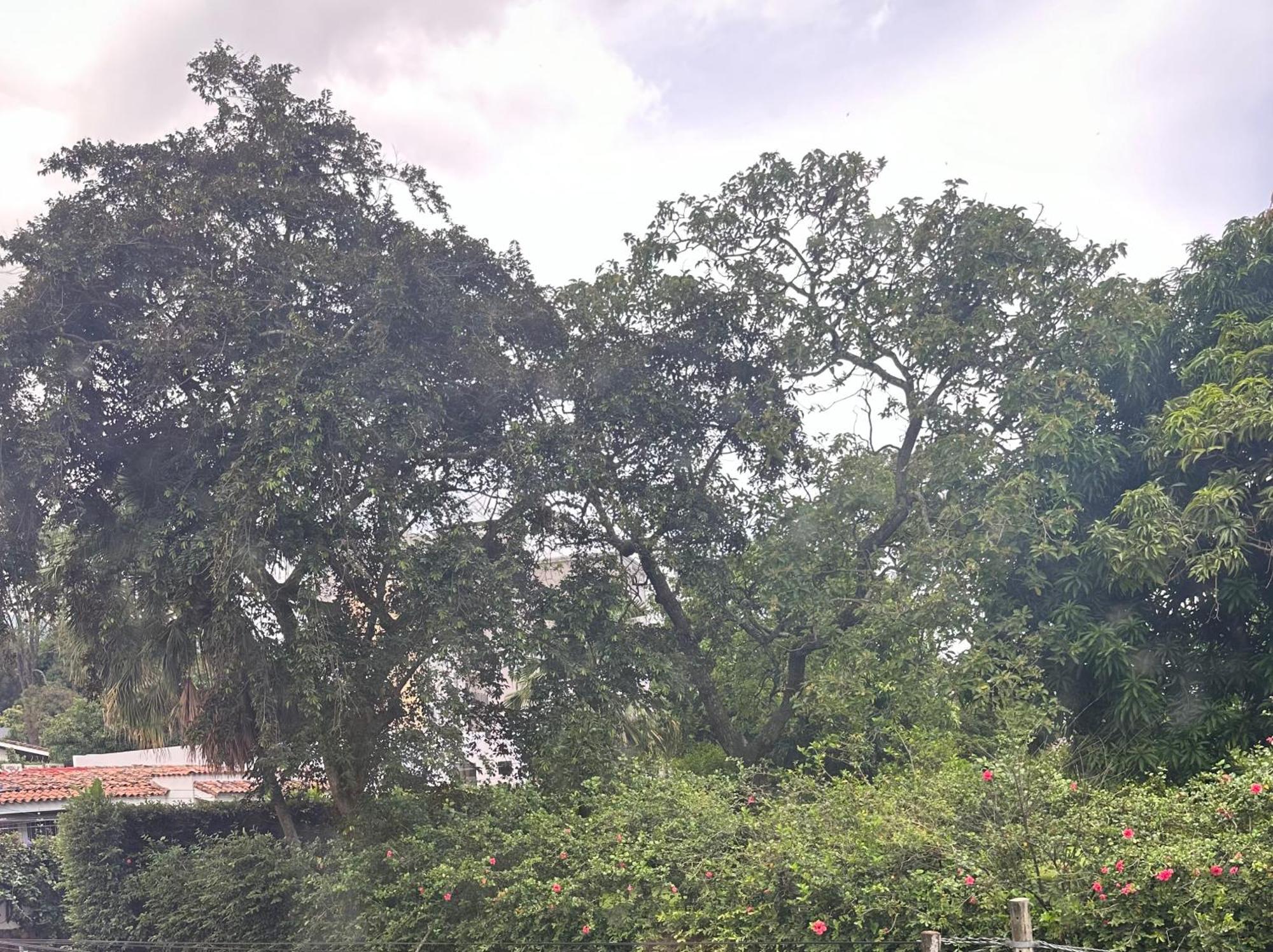 Monblanc Apartamento Completo ซานซัลวาดอร์ ภายนอก รูปภาพ